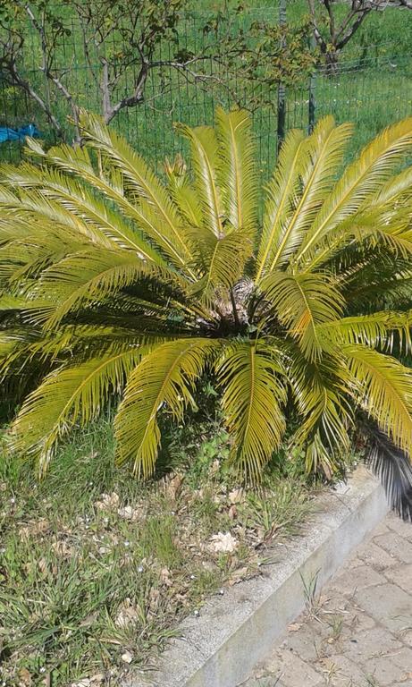 Ospitalita In Campagna Hotel Quiliano Luaran gambar